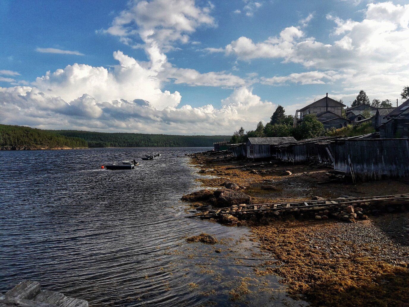 Photo #3031340