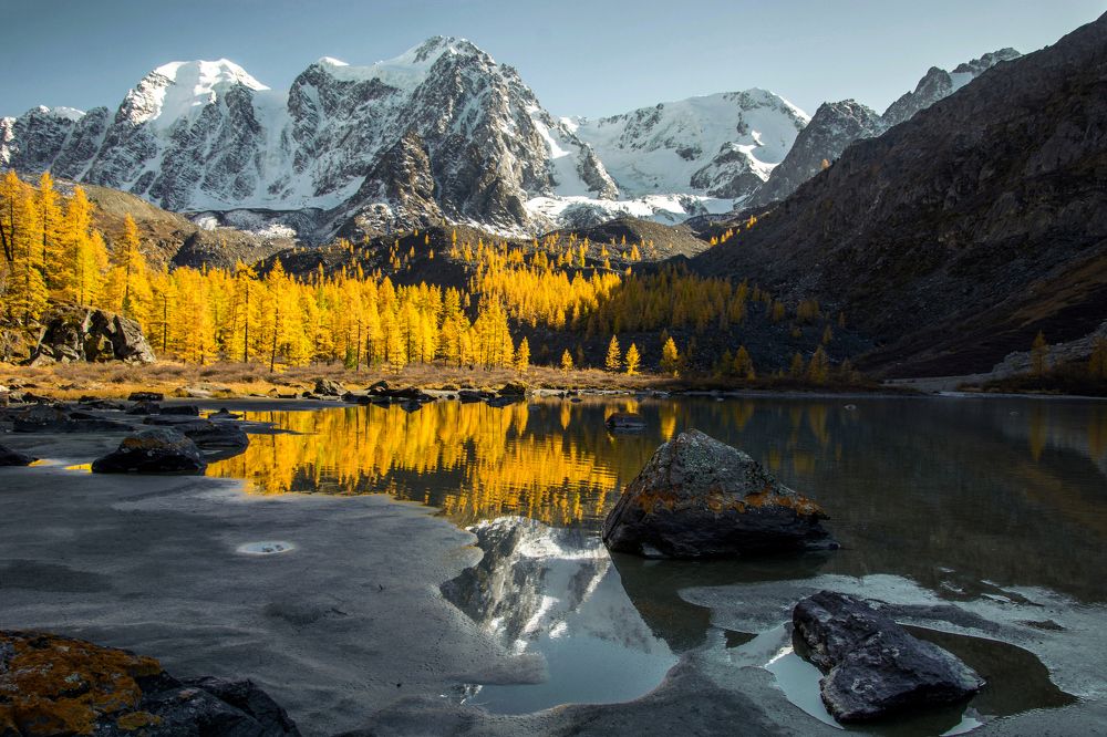 золотой вечер