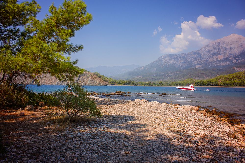 Photograph by Анна Кесарева