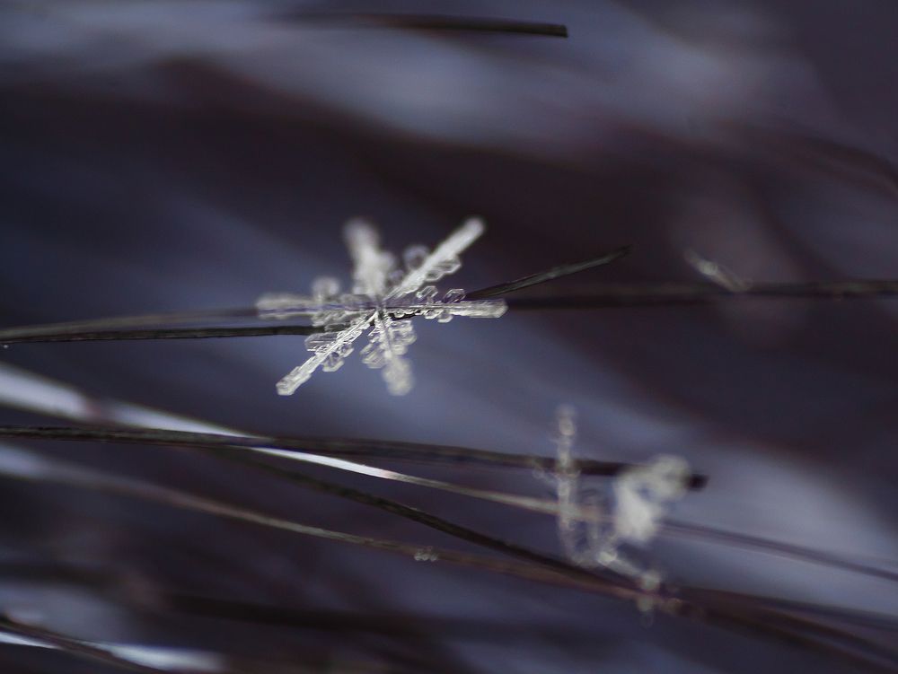 Photograph by Мария Бузыцкая