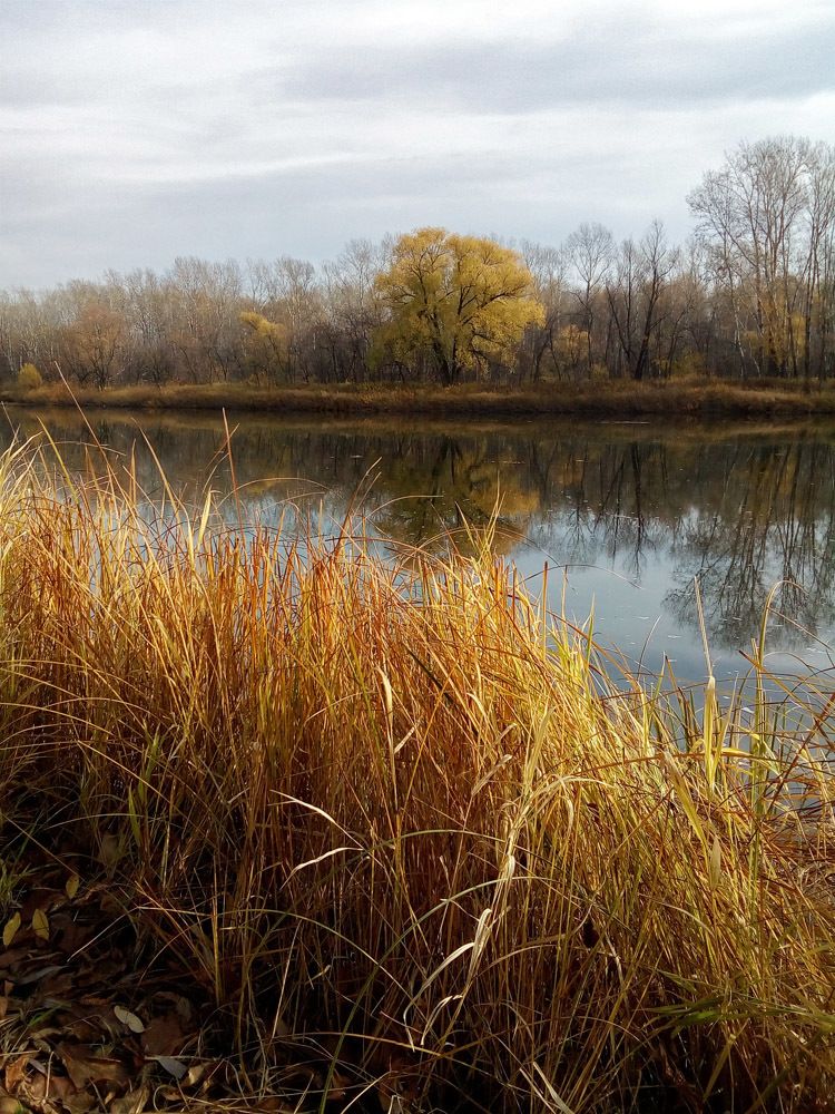 Photograph by Курочкина Диана