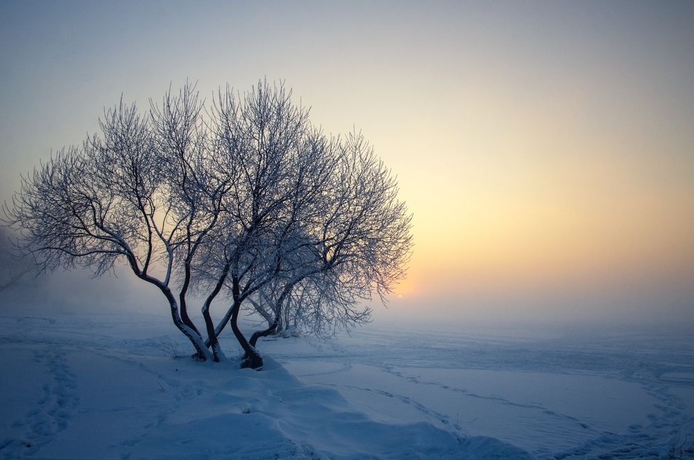 Морозным днем