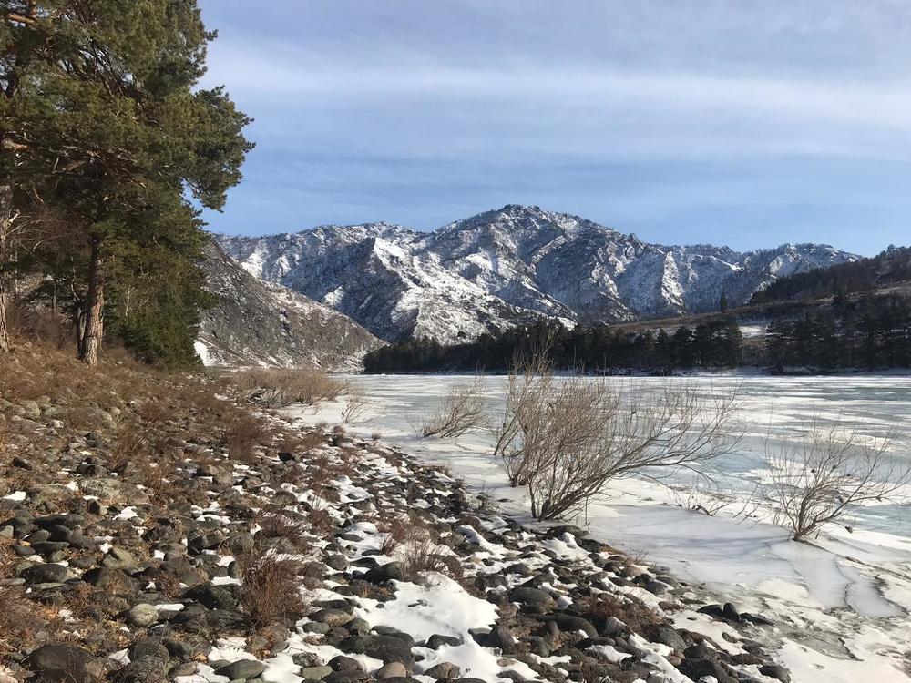 В ожидании весны