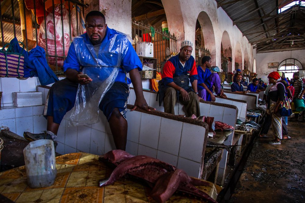 Рыбный рынок