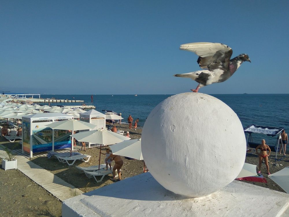 Takeoff
