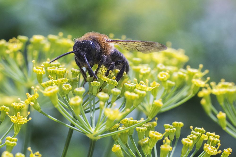 возможно это не лучший снимок в мире, но точно его лучшая фотография