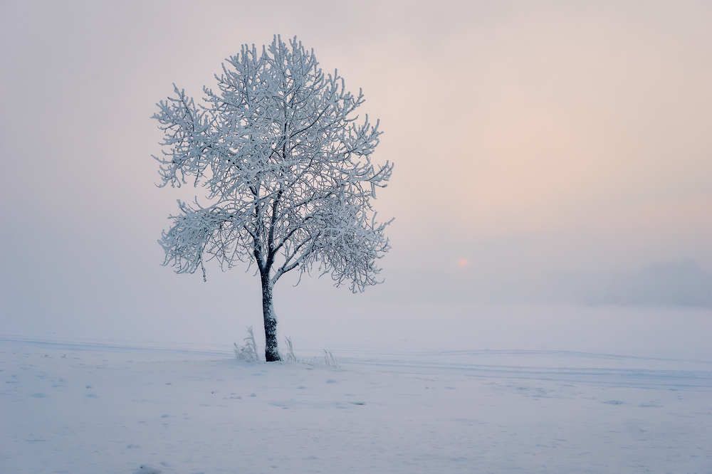 Холодное одиночество