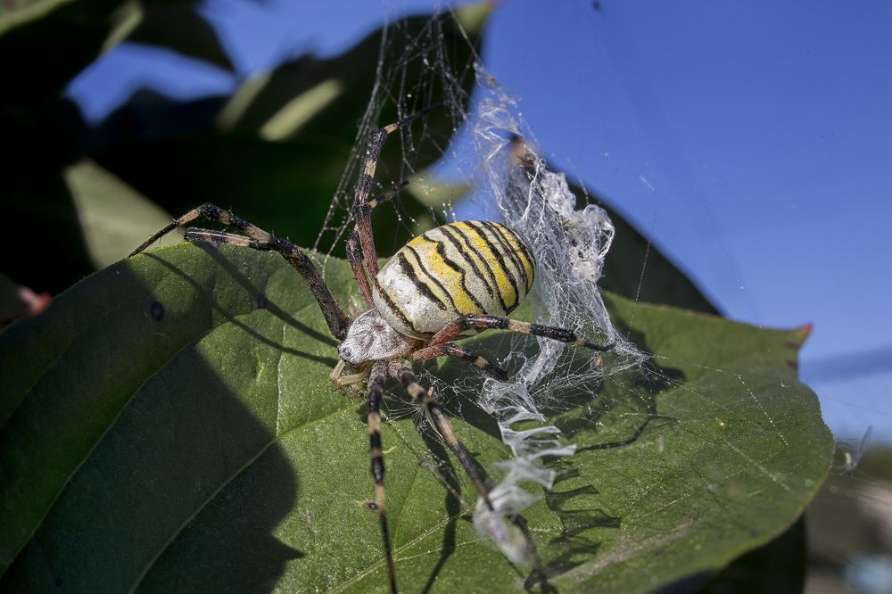 после дождичка