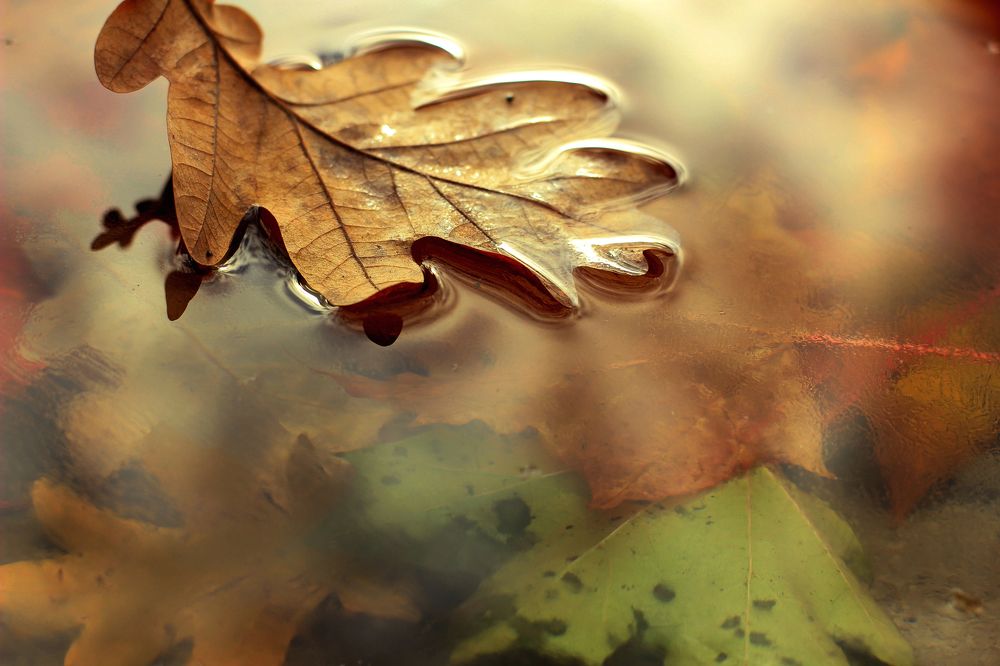 на холодной воде