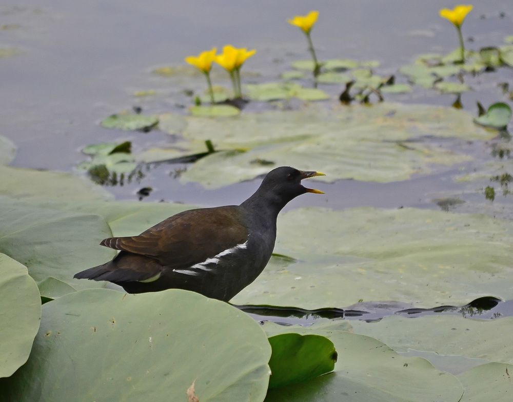 Photograph by Александр Колтухов