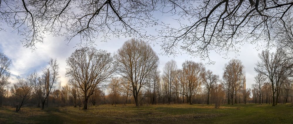 Заосеннилось вокруг...