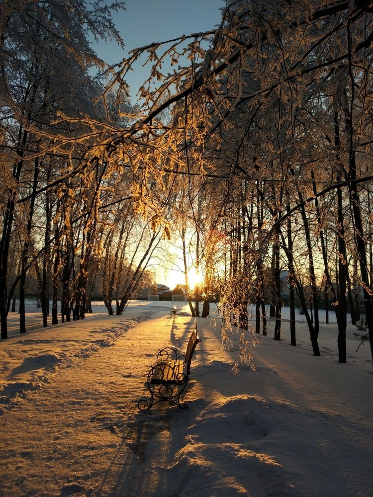 Вечер в "Морском заливе"