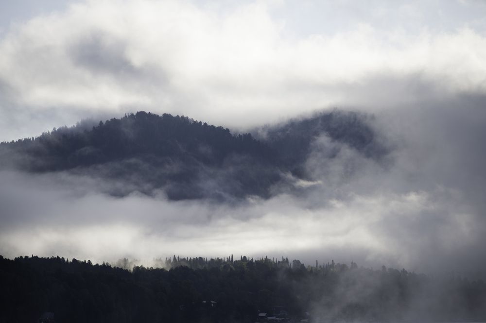 Этажи природы