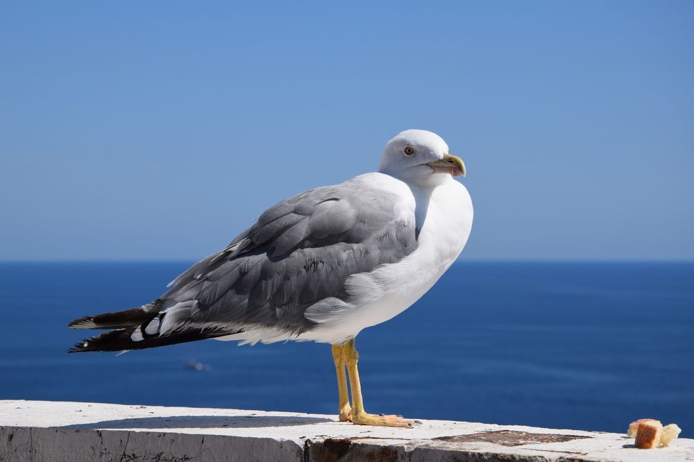 Photograph by Арина Колесник