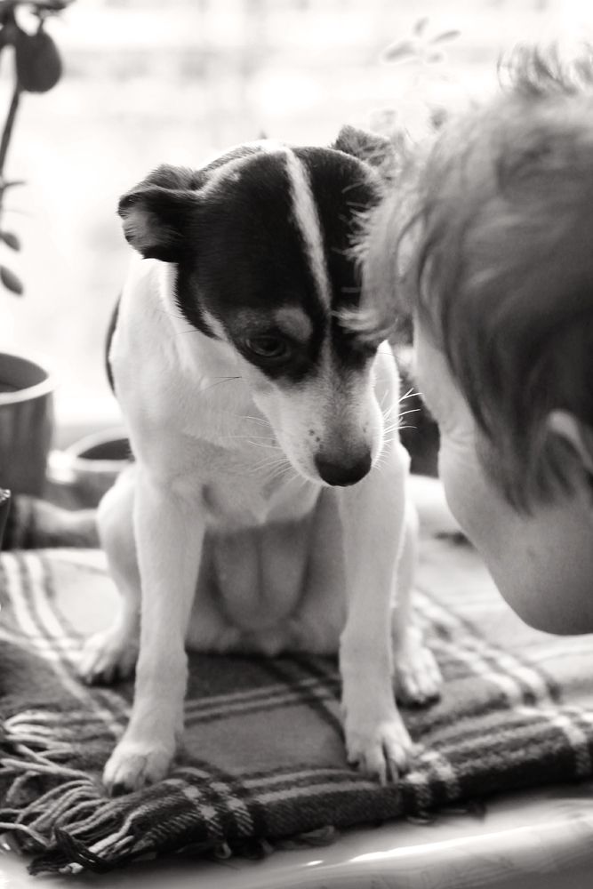 Знакомство