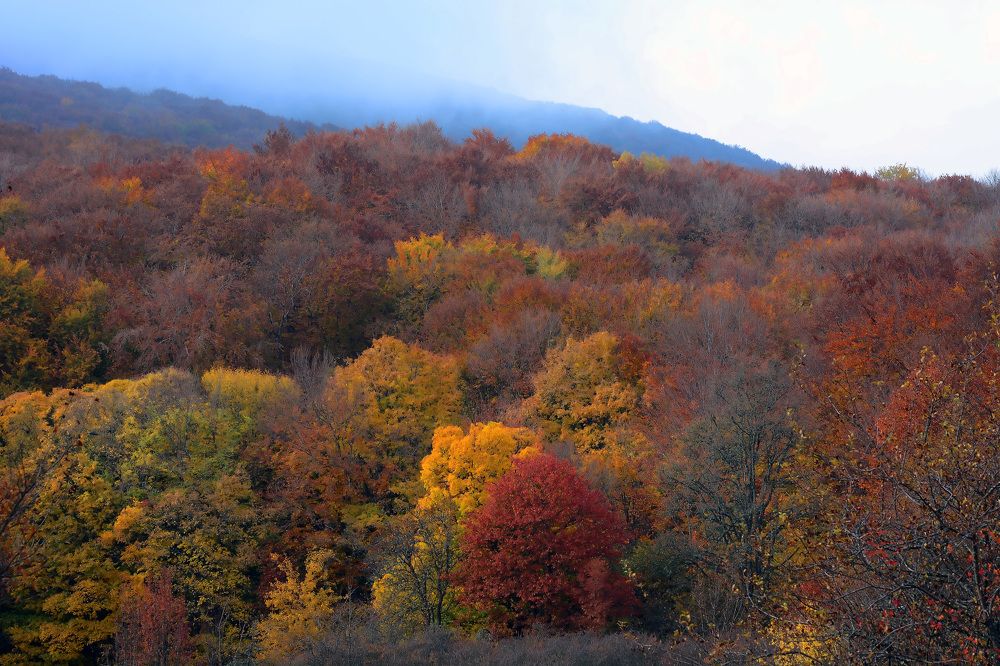 Photograph by Александр Колтухов