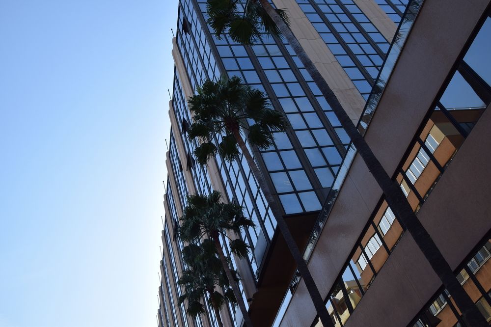 Photograph by Арина Колесник