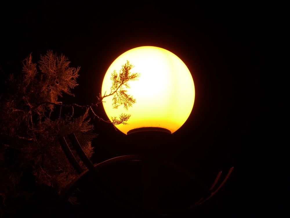 Photograph by Виктория Светлова