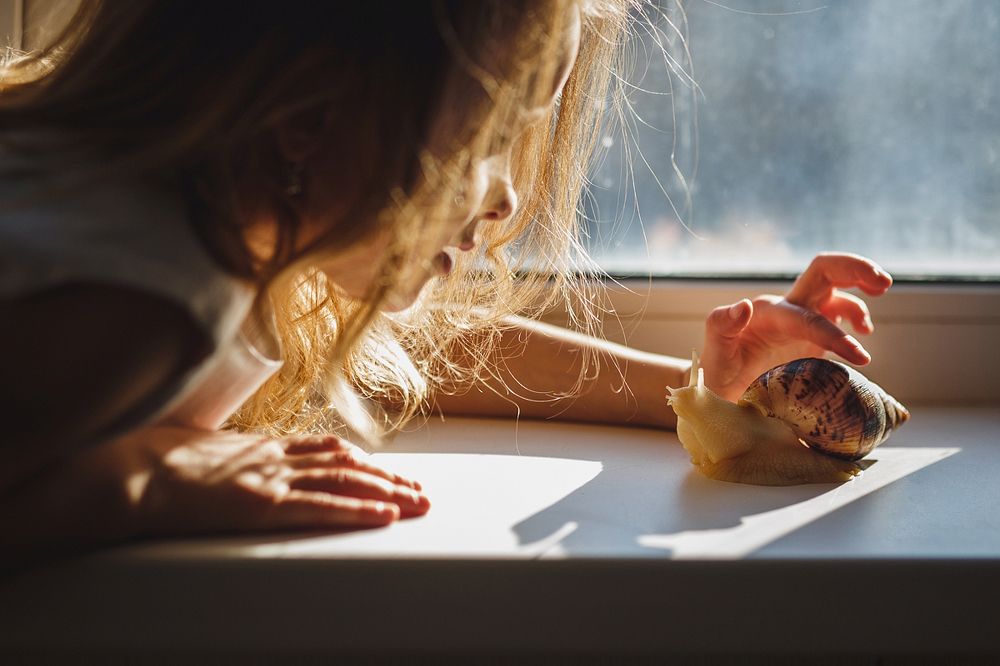 Фотография автора Людмила Сабанина