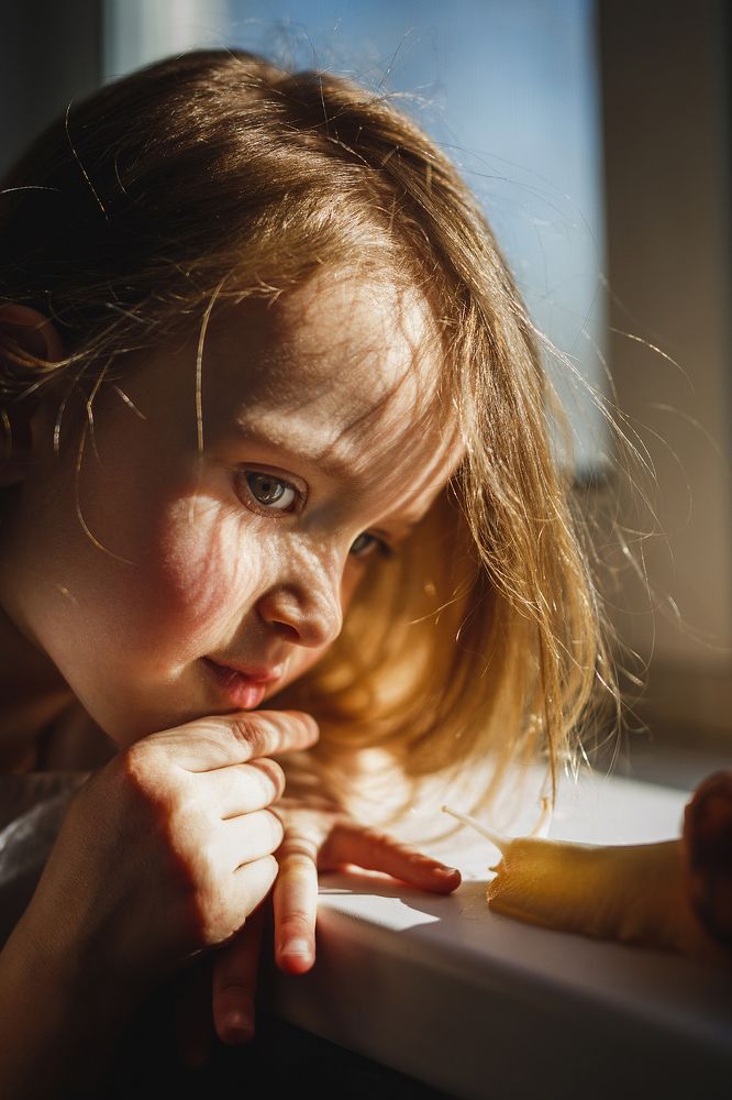 Фотография автора Людмила Сабанина