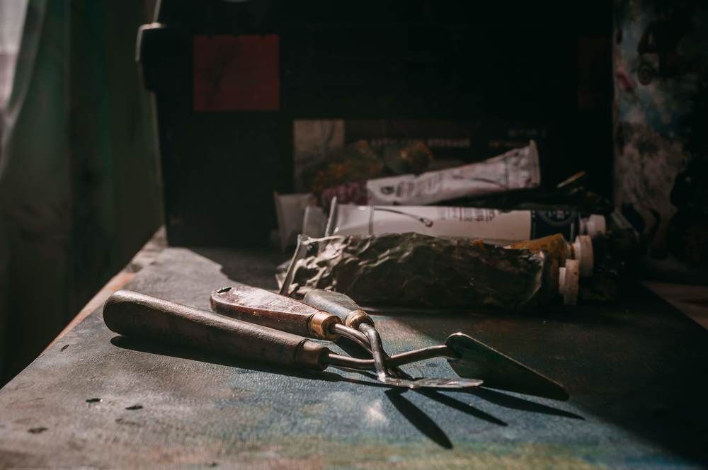 Фотография автора Дарья Шевченко