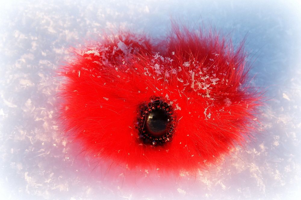 "Пламя" на снегу