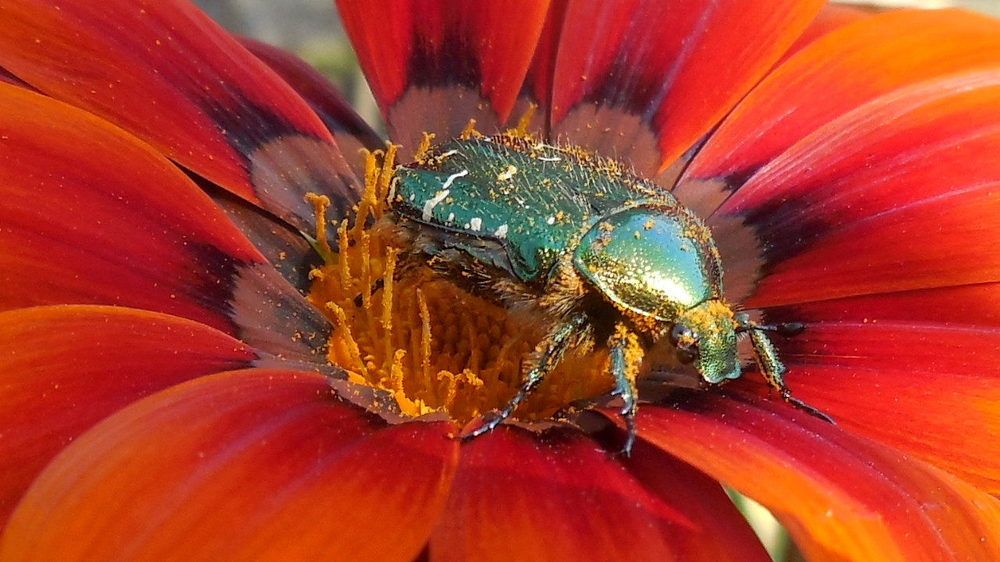 Запахло весной.