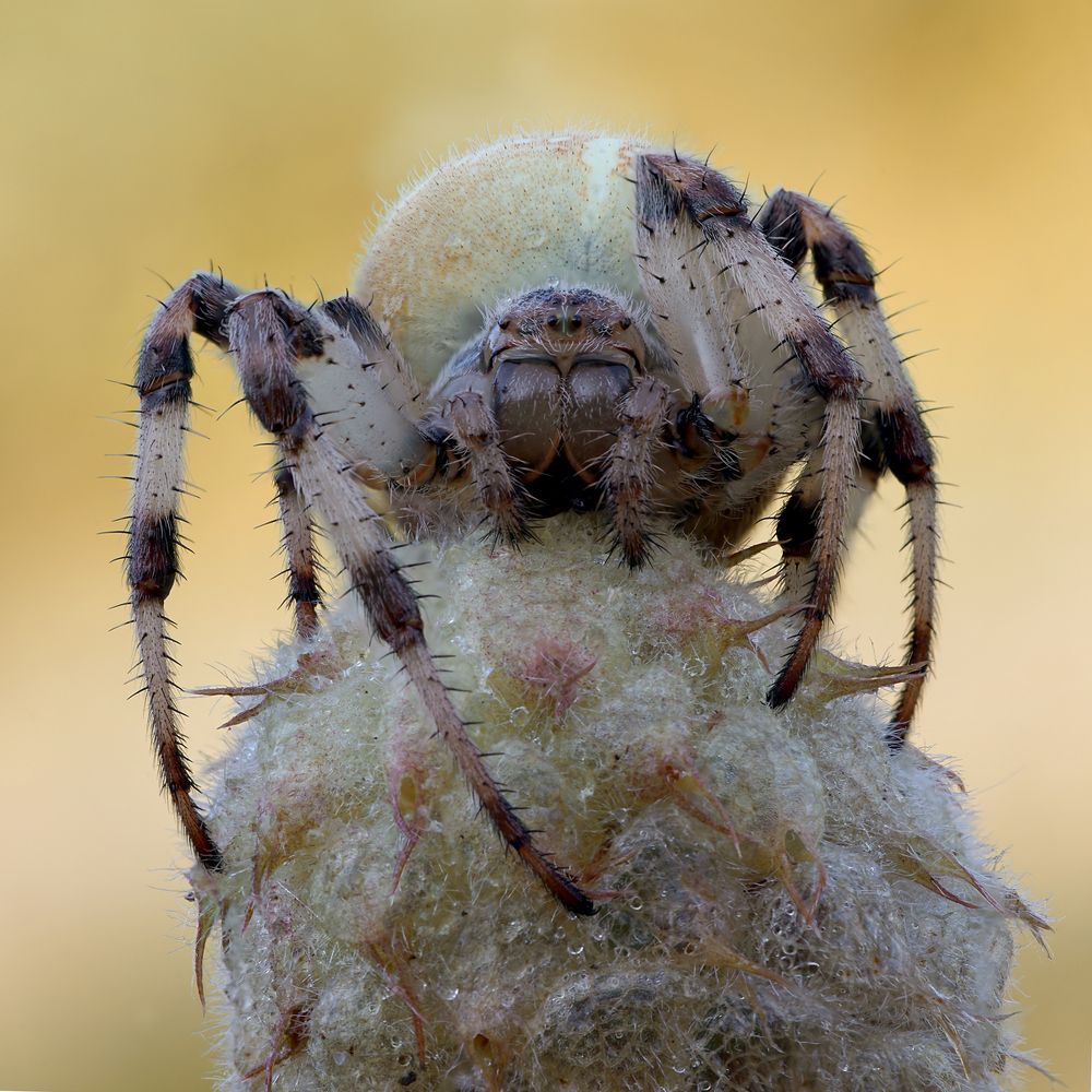 Photograph by Кузнецов Дмитрий