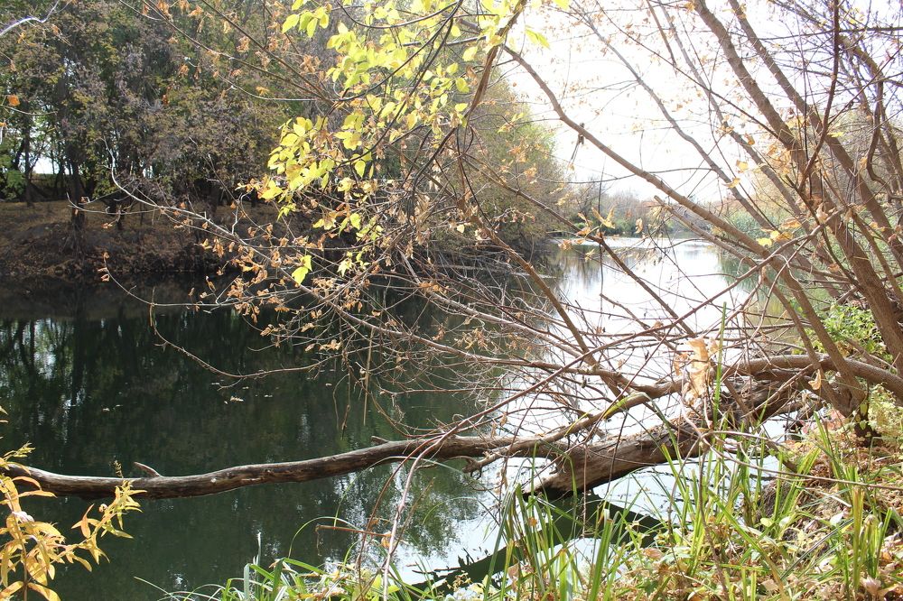 осенний пейзаж