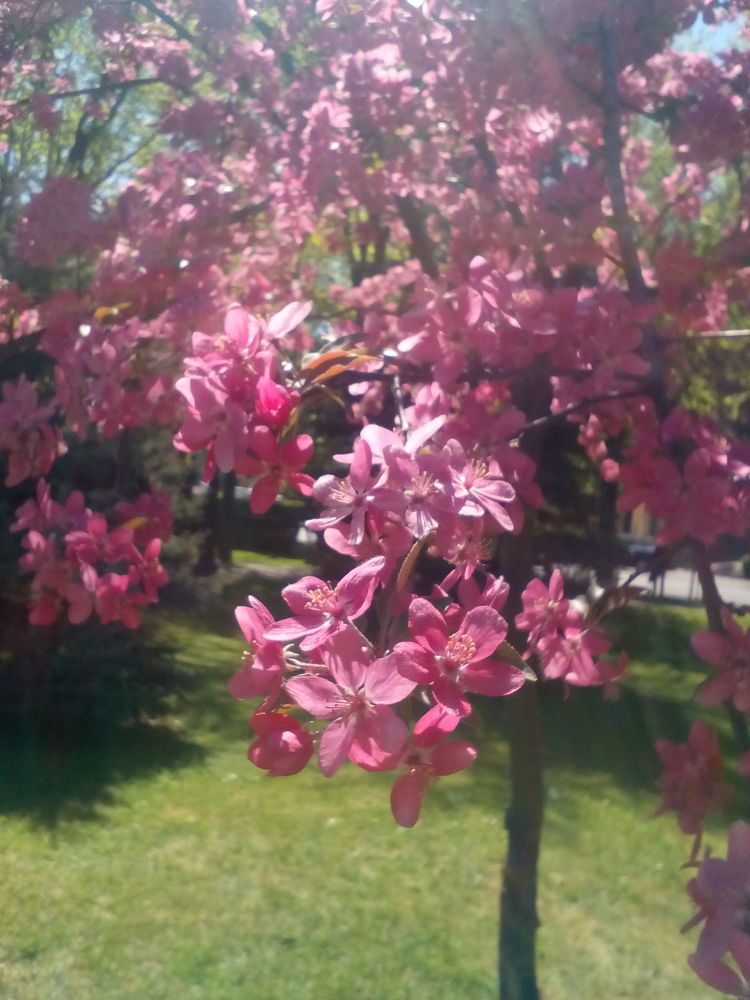 Photo #3032721