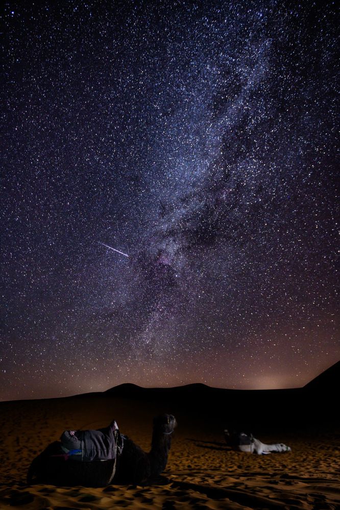 Восточная ночь