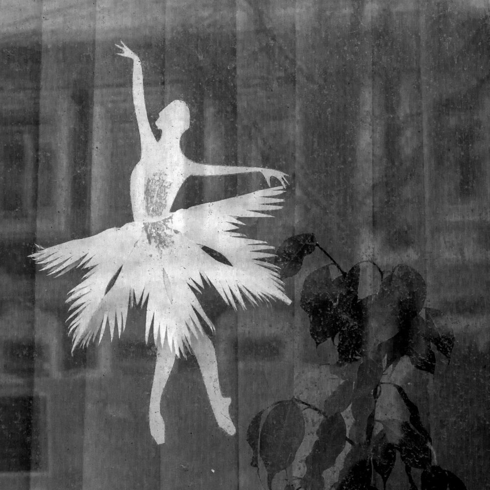 Photograph by Виктор Печищев