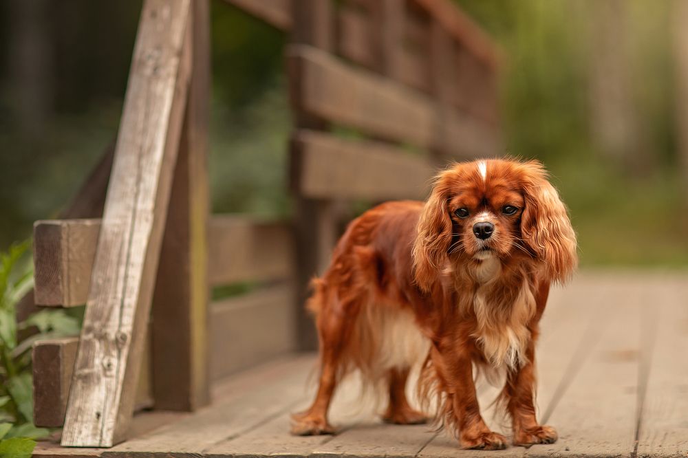 задумалась