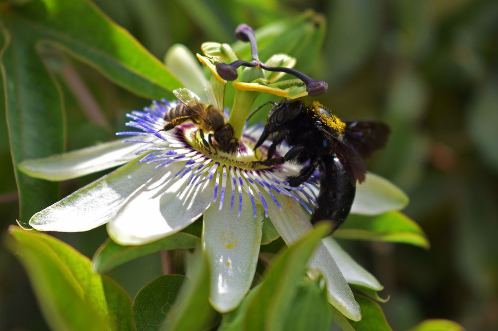Couple having passionate lunch :)