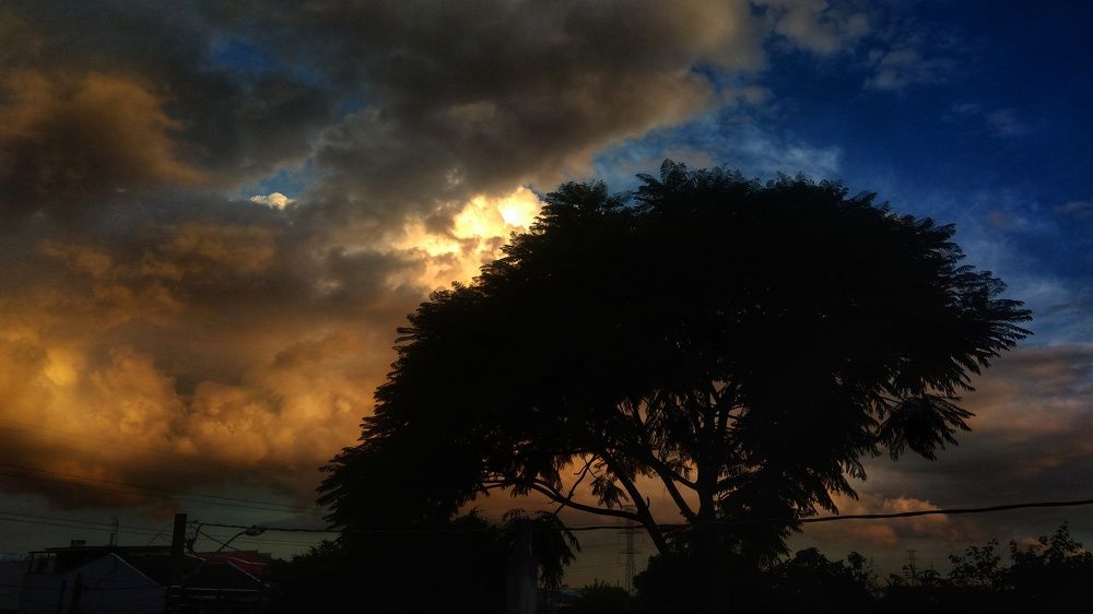 The darkness and the light