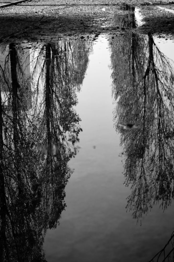 Photograph by Nicolas Gatto