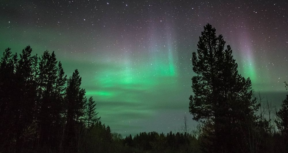 Цвет Севера