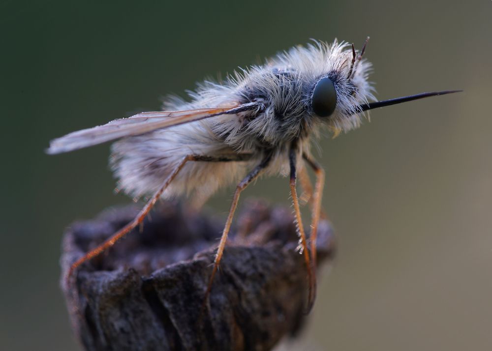 Photograph by Кузнецов Дмитрий