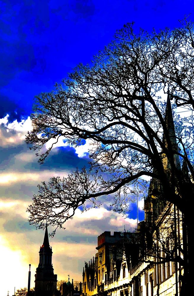 Dynamism on Oxford Street