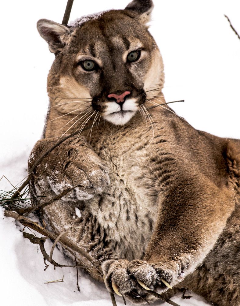 Photograph by Танюша