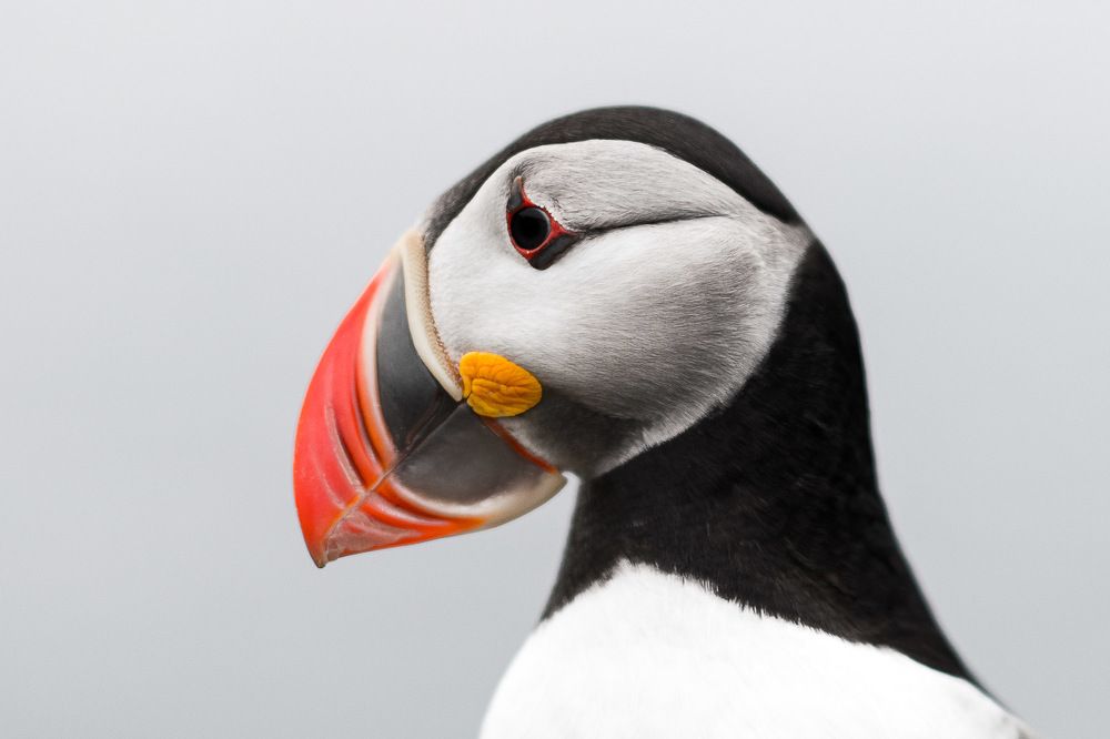 Photograph by Петр Покровский