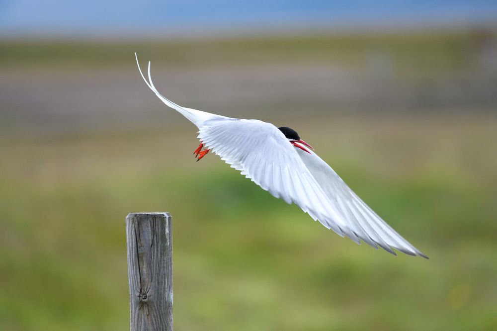 Photograph by Петр Покровский