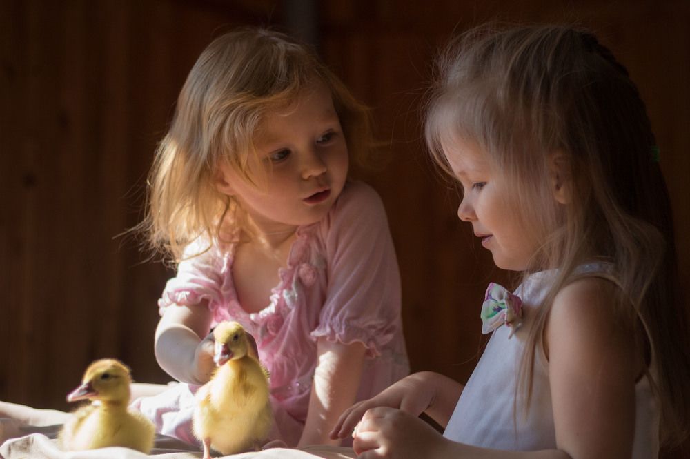 Photograph by Светлана Максимова