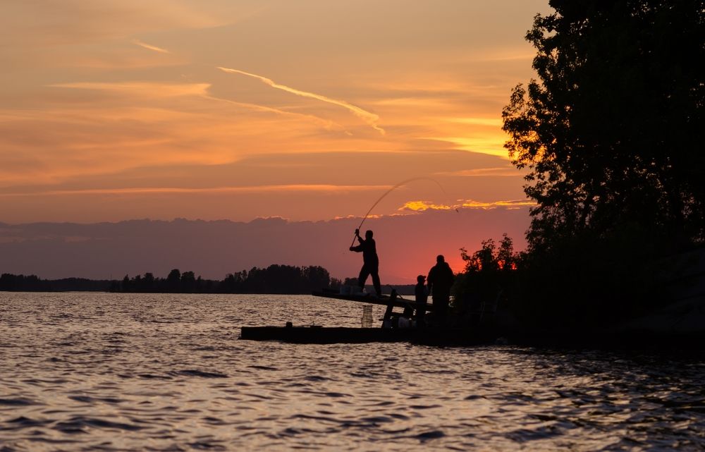 Клёв на закате.