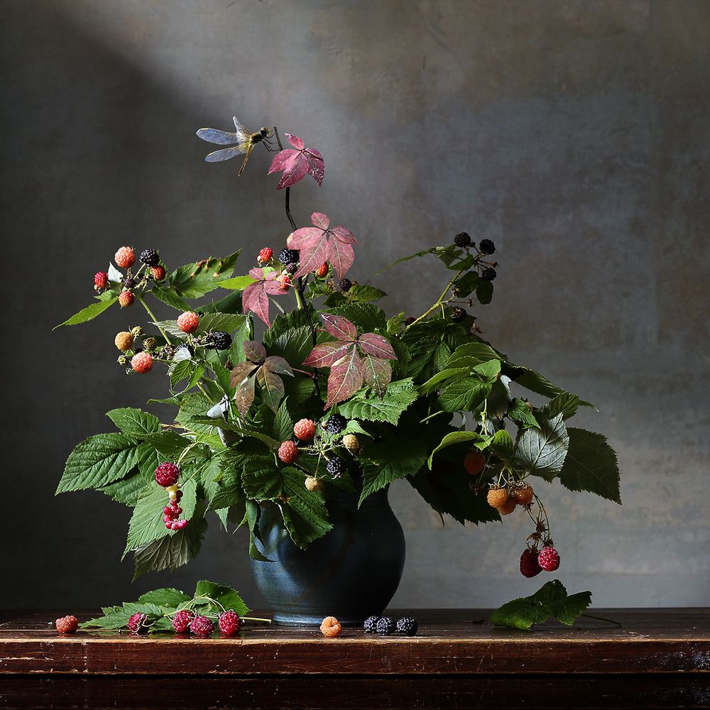 Голубая стрекоза