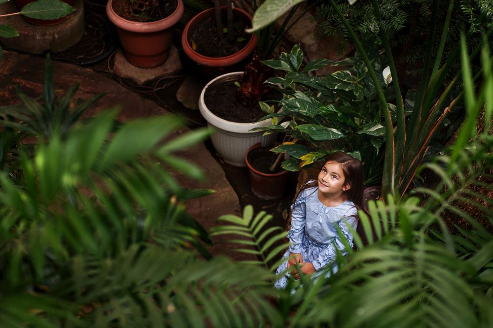 когда деревья были большими