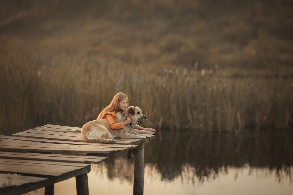 В диалоге...