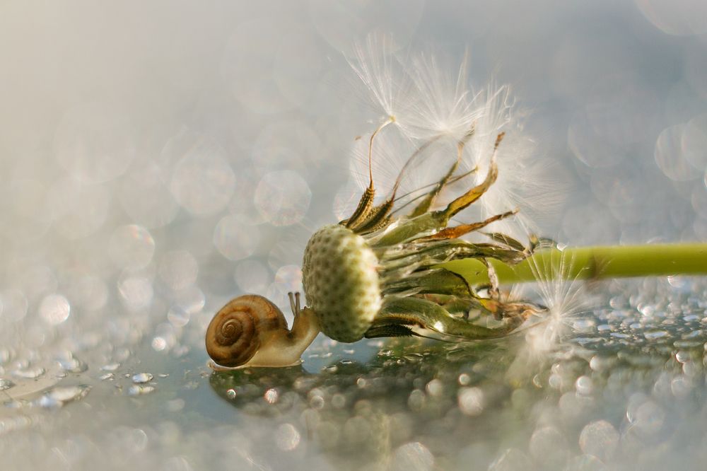 Photograph by Нурият Аллаярова