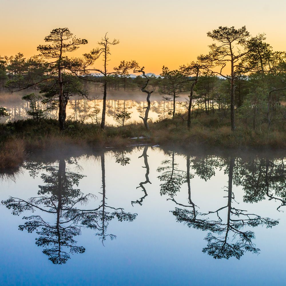 Photograph by Raigo Tõnisalu