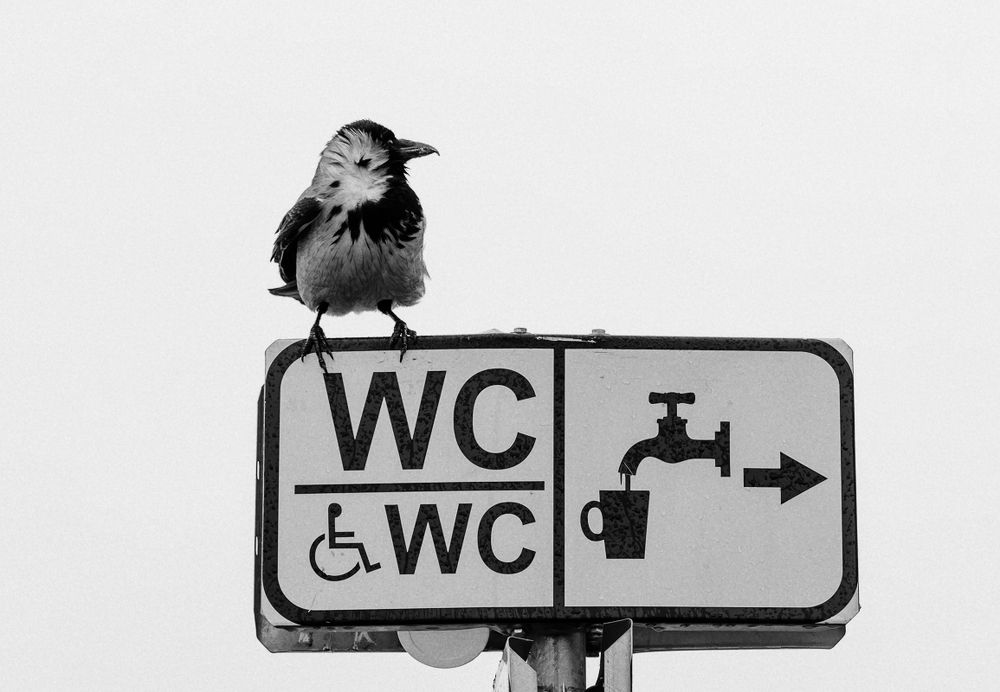 Фотография автора Юрий Макаров